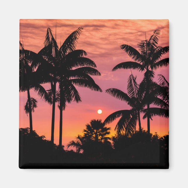 Silhouetted palm trees, Hawaii Magnet (Front)