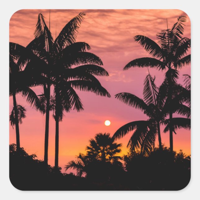 Silhouetted palm trees, Hawaii Square Sticker (Front)