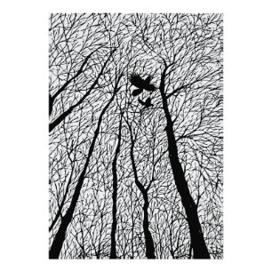 Silhouetted Ravens in the Winter Trees Photo Print