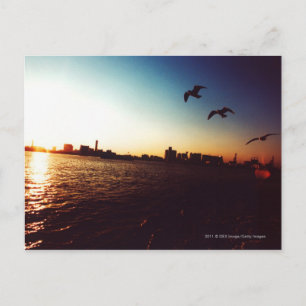 Silhouetted Tokyo Bay skyline at sunset Postcard