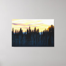 Silhouetted Trees at Dusk