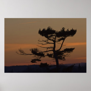 Silhouettes At Dusk fine art print