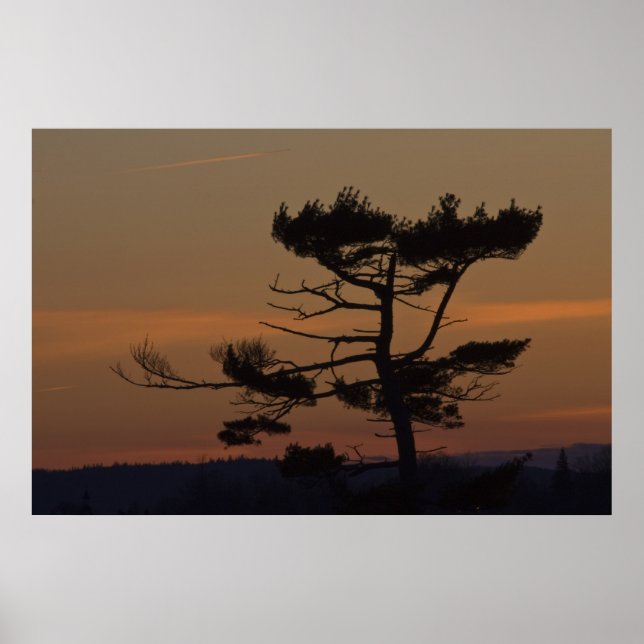 Silhouettes At Dusk fine art print (Front)