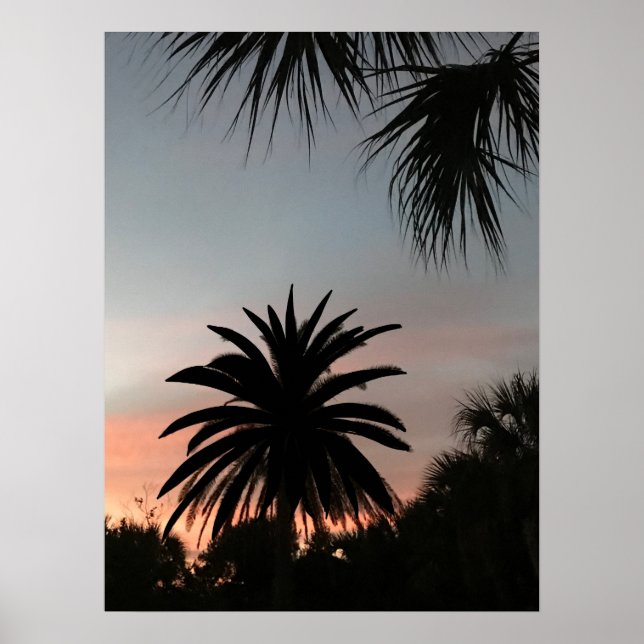 Silhouettes of palm fronds at sunset poster (Front)