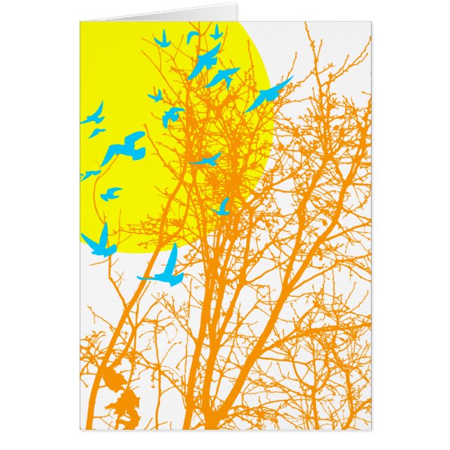 silhouscreen birds (Front)