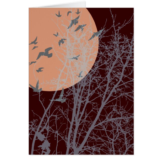 silhouscreen birds (Front)