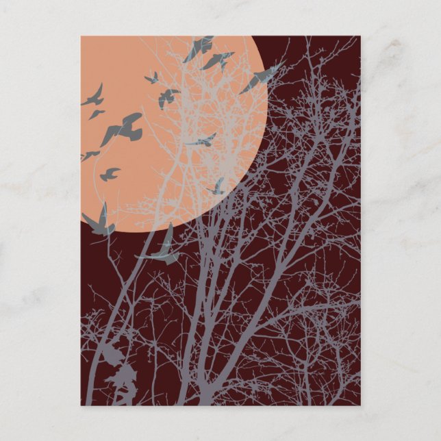 silhouscreen birds postcard (Front)