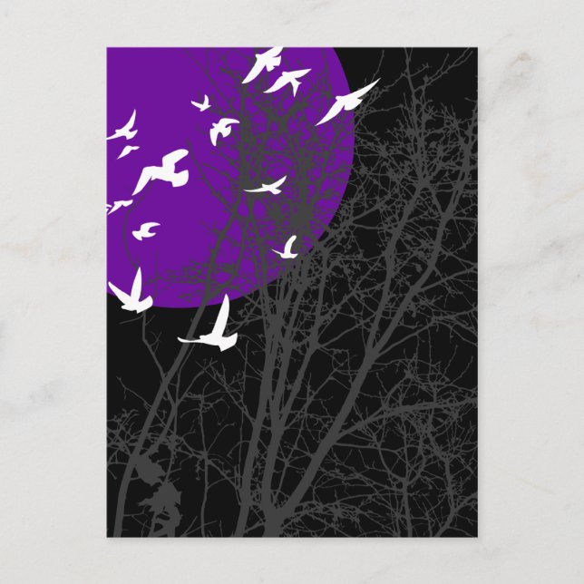 silhouscreen birds postcard (Front)