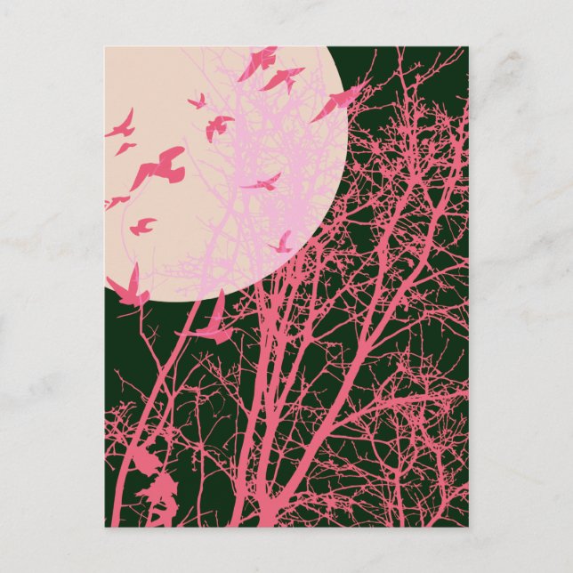silhouscreen birds postcard (Front)