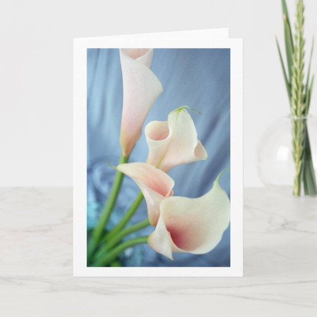Silk Parade White Calla Lily Greeting Cards (Front)