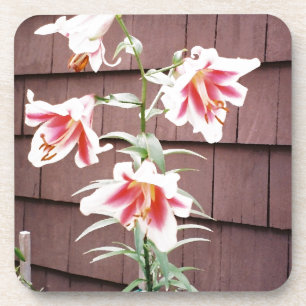 Silk Road Lily Coaster