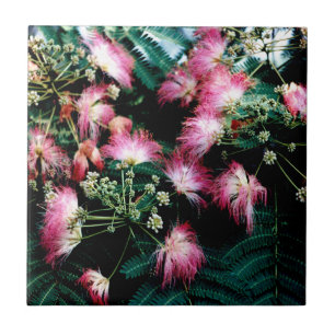 Silk Tree Ceramic Tile