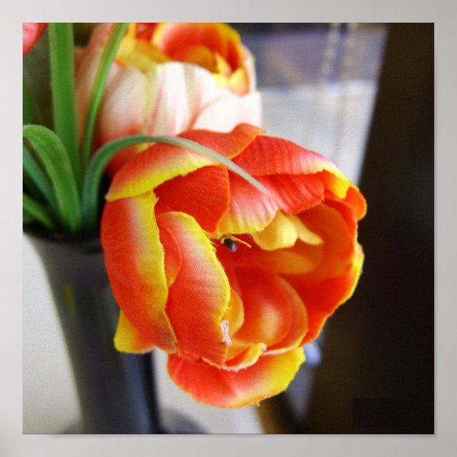 Silk Tulip Canvas Print (Front)