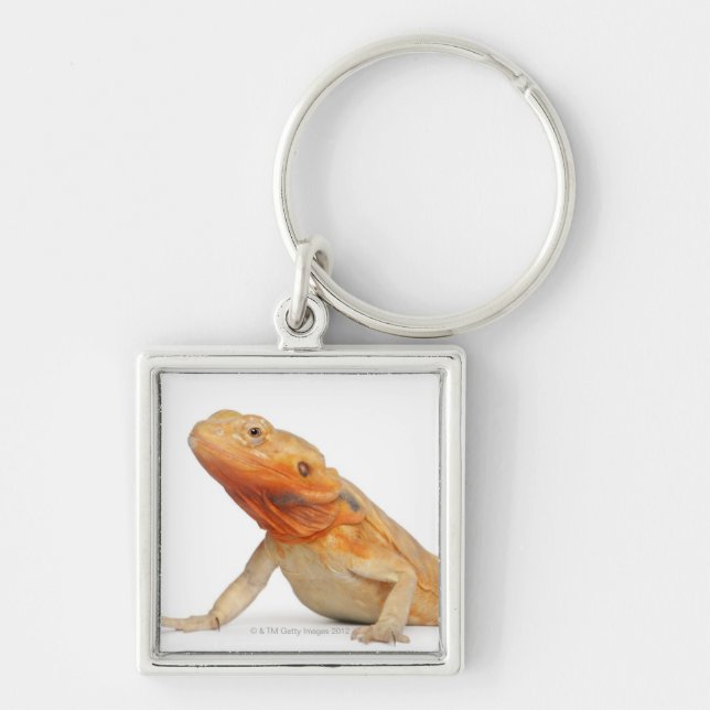 SilkBacks scaleless Bearded Dragon - Pogona Key Ring (Front)