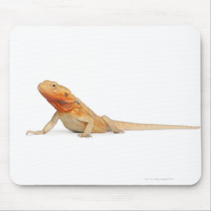 SilkBacks scaleless Bearded Dragon - Pogona Mouse Pad