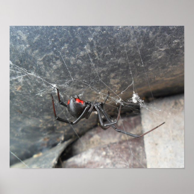 Silken Strands Poster (Front)