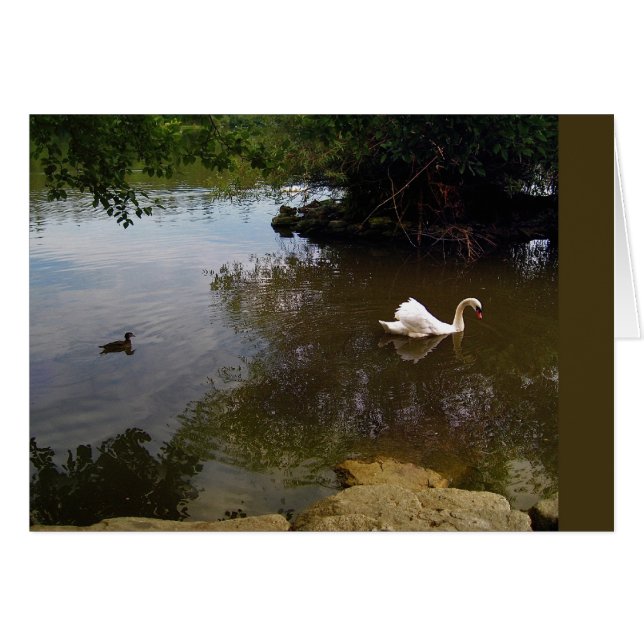 Silken Swan Card (Front Horizontal)