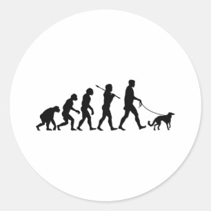 Silken Windhound Classic Round Sticker