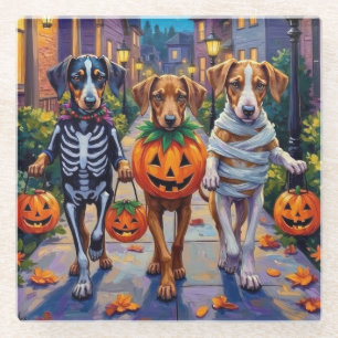 Silken Windhound Dogs in Halloween Costumes Glass Coaster