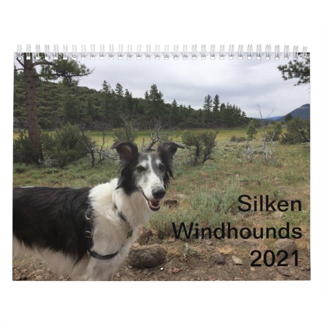 Silken Windhounds 2021 Adults 1 Calendar (Cover)