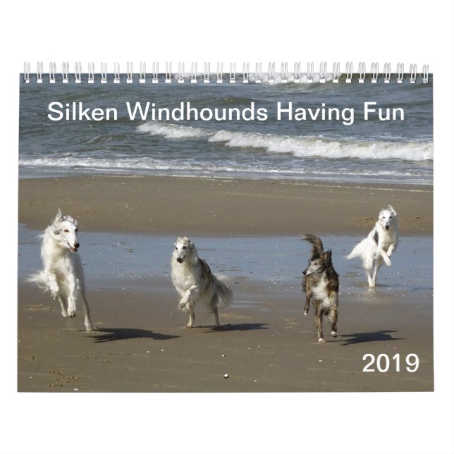 Silken Windhounds Having Fun 2019 Calendar (Cover)