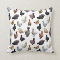 Silkie Bantam Chickens