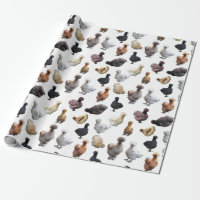 Silkie Bantam Chickens