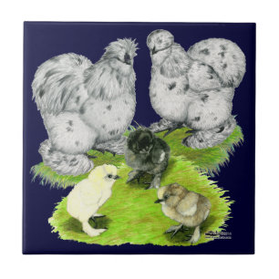 Silkie Bantam Splash Family Ceramic Tile