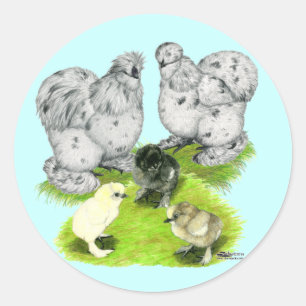 Silkie Bantam Splash Family Classic Round Sticker