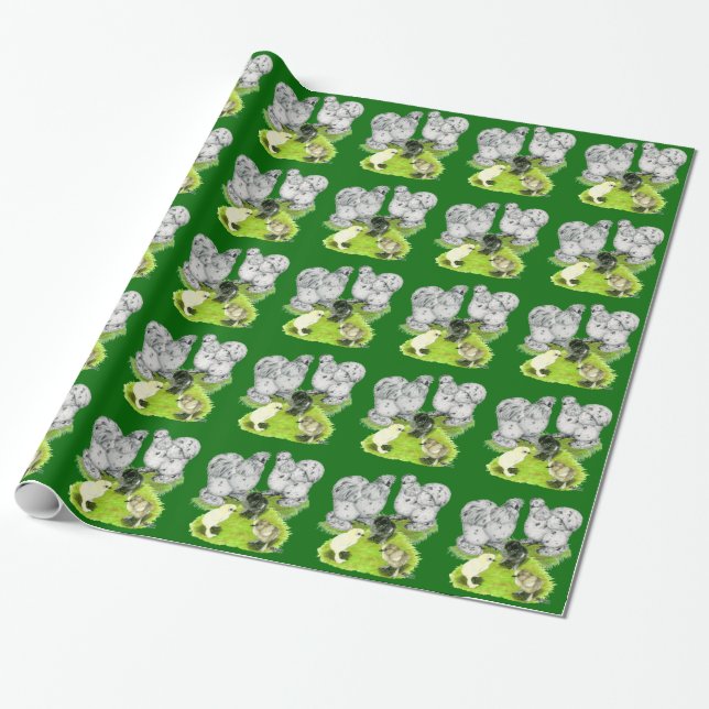 Silkie Bantam Splash Family Wrapping Paper (Unrolled)