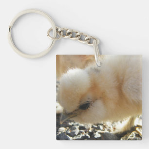 Silkie Chick Keychain