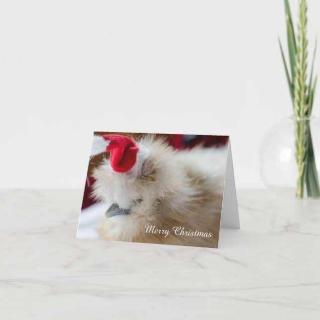 Silkie Chicken Christmas Card (Front)