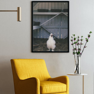 Silkie Chicken Poster