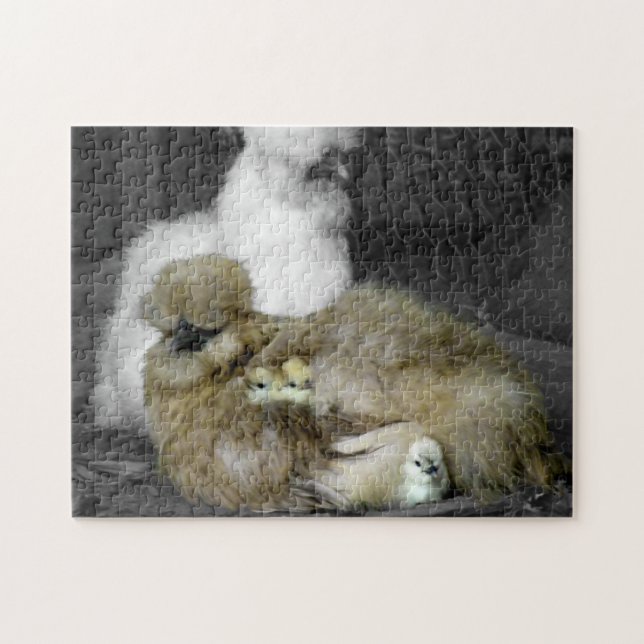 Silkie Hens with Chicks Peeking out of Feathers Jigsaw Puzzle (Horizontal)