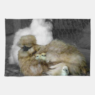 Silkie Hens with Chicks Peeking out of Feathers Tea Towel