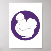 Silkie