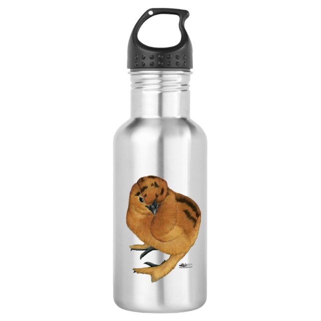 Silkie Red Chick 710 Ml Water Bottle (Front)