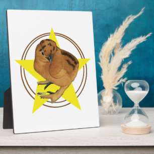 Silkie Red Chick Star Plaque