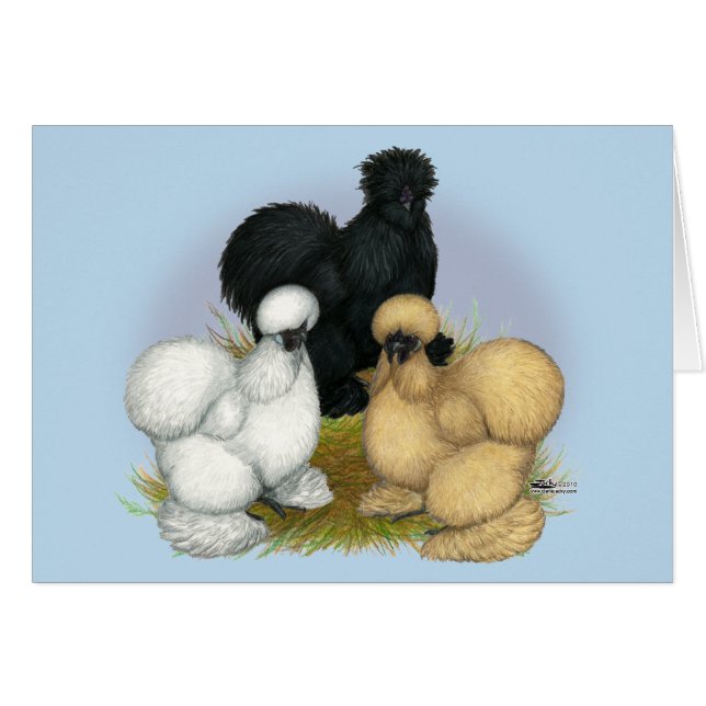 Silkie Trio (Front Horizontal)