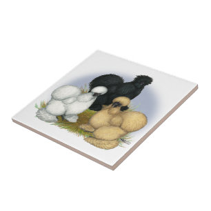 Silkie Trio Ceramic Tile