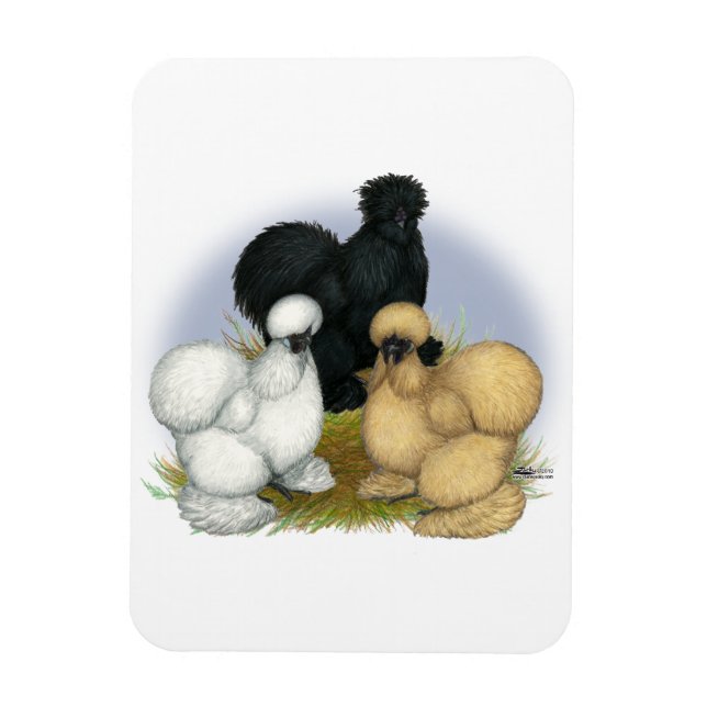 Silkie Trio Magnet (Vertical)