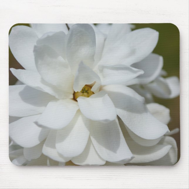Silky Magnolia Mouse Pad (Front)