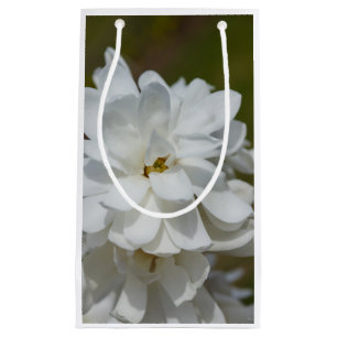 Silky Magnolia Small Gift Bag
