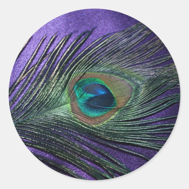 Silky Purple Peacock Feather Classic Round Sticker (Front)