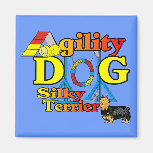 Silky_Terrier_Agility Gifts Magnet