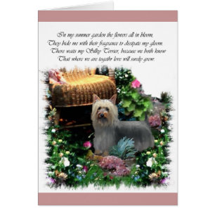 Silky Terrier Art Gifts