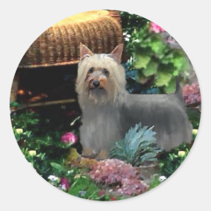 Silky Terrier Art Gifts Classic Round Sticker