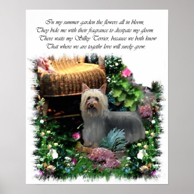 Silky Terrier Art Print (Front)