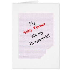 Silky Terrier Ate my Homework