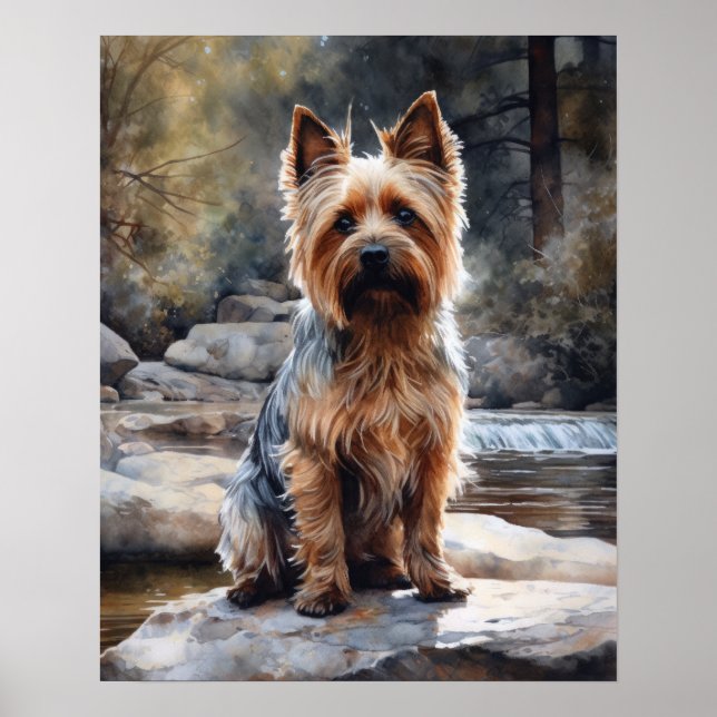 Silky Terrier Dog Art Print Poster (Front)